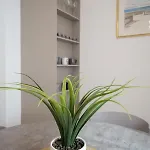 Mar Beauty Apartman *